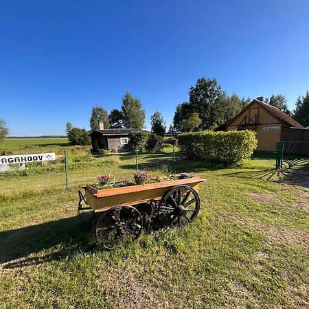 Vedru Sauna Camping Villa Vaike-Rakke Eksteriør bilde